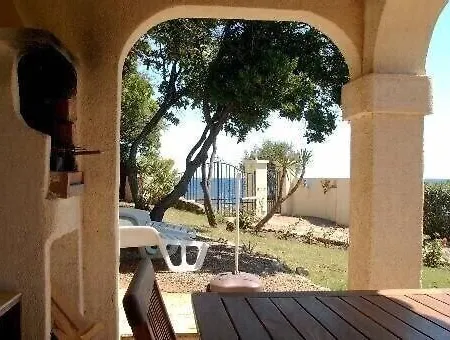 Pittos